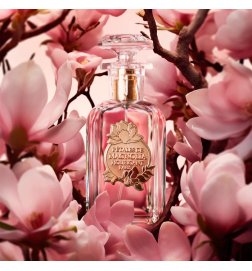 Magnolienblüten - Eau de Parfum Magnolienblüten - Eau de Parfum